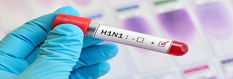 Over 50 people die due to swine flu in just one month