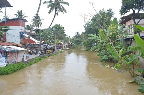 Photo: Rejimon Kuttappan