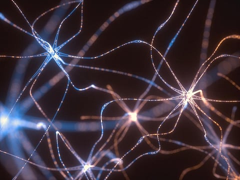 Neural networks on portable devices could be a reality soon