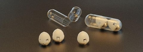 The pill developed by the researchers. Photo: Felice Frankel/MIT