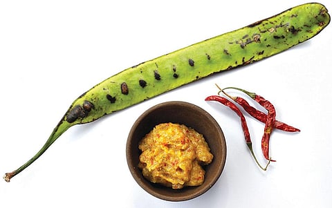 Yongchak flowers and its beans are part of several Manipuri delicacies, but it is the pods that are most commonly eaten (Photo: Vikas Choudhary)