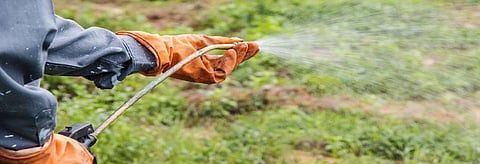 Representational photo of herbicide spraying. Credit: Getty Images