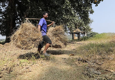 A farmer in Singhbhum district. Photo: Vikas Choudhary