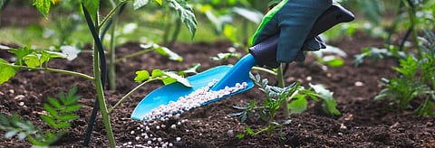 Can white faecal pellets take over as the future fertiliser in global south?