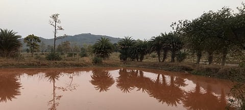 A water pond at Nitigotha village in Keonjhar district. The red colour is due to high iron in water often due to runoff from a mine close by. Photo: Chinmayi Shalya