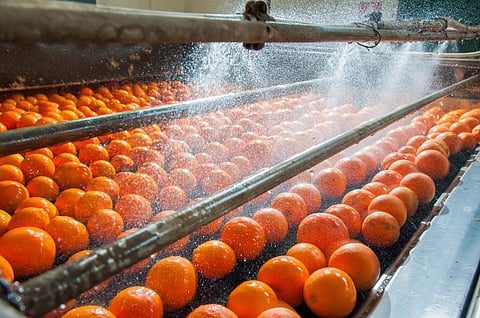 Focus on climate change: Food majors to US government