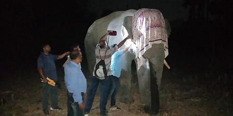 Talcher's killer elephant detusked