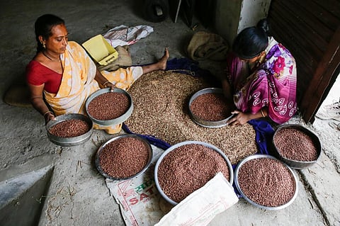 A new pandemic has struck the world: Food inflation