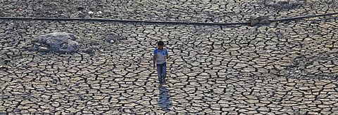 Saurashtra woes: Helpless farmers hope for the miracle of water