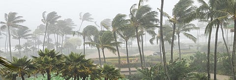 ‘Severe’ cyclonic storm to hit Tamil Nadu on April 30