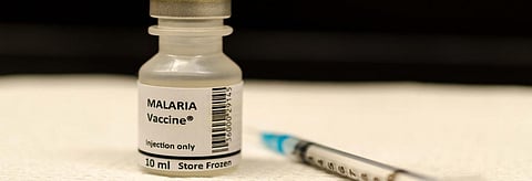 World Malaria Day: How Africa plans to fight the disease