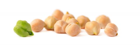 Researchers identify climate change-resilient chickpea genes