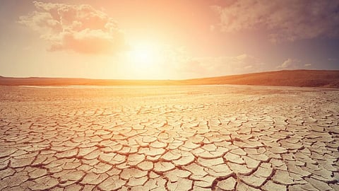 Global warming to raise frequency of heat waves: Study