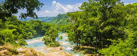 Lush rainforest and waterfall in Chiapas, Mexico. Photo: Getty Images