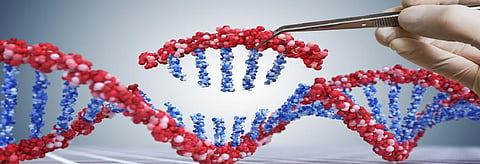 Russia to grow 30 gene-edited plants, animals by 2027