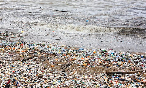 Microplastic pollution load on seashore linked with population size of coastal cities