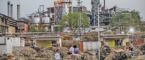 Photo: Amarjeet Kumar Singh