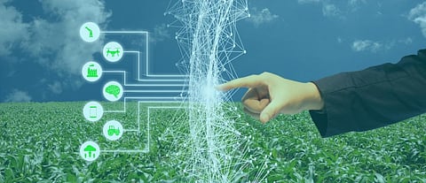 High-tech on the ground: Blockchain technology to boost small farm incomes