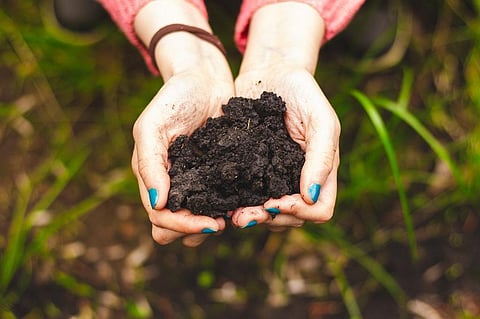 India’s fertiliser industry needs to prioritise pollution control: CSE Study