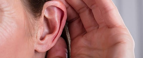 Human brains distinctively attuned to musical tones: Study