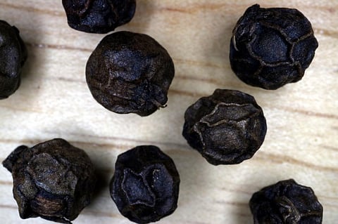 Alkaloid from black pepper shows promising results against neurological disorder