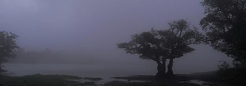 A monsoon after two droughts
