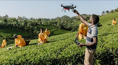 Digital solutions could be key to end hunger in Africa: Report