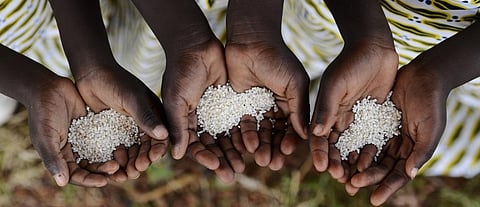Every third child in the world is poor: UN