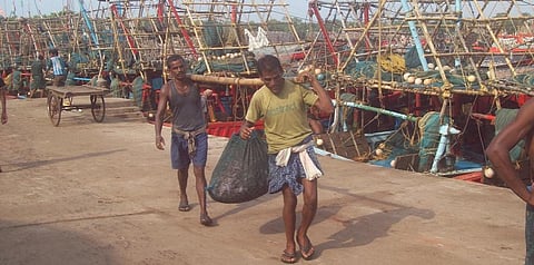 A view of fishing harbour at Paradip, Odisha