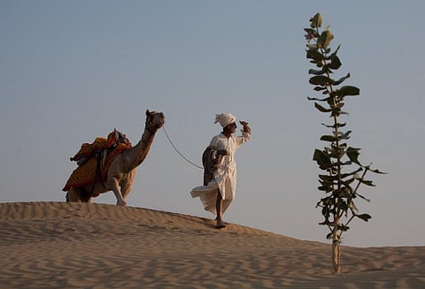 Photo: Vikas Choudhary