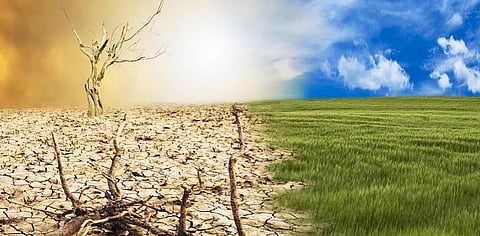 Every month in 2019 among 4 warmest such month: Report