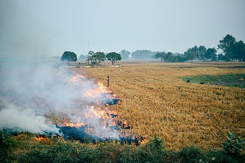 Here is a solution for crop residue burning problem