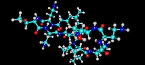 Colistin and its tolerance limits will be removed from the list of antibiotics and veterinary drugs for foods. Photo: Getty Images