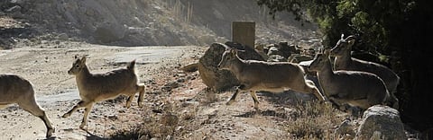 Global Eco Watch: Major ecological happenings of the week (August 19 – August 25)