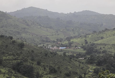 Environment-related offences fell in 2018; 8 states buck trend