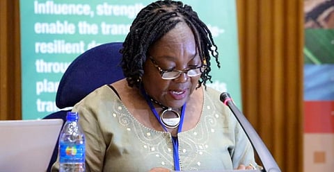 African leaders meet to draw plan for a climate-resilient continent