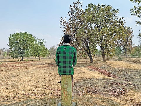 Land degradation a major threat but avoidable. So why the inaction