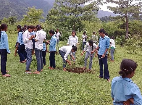 An afforestation drive in Nepal. Photo: Wikimedia Commons