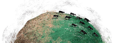 Illustration: Tarique Aziz