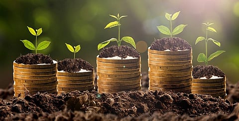 UNCCD CoP: Centre unclear how states are spending money allotted for forests