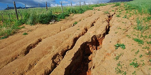 Some gullies in Nigeria were 100 metres deep and 20 to 30 metres wide and could stretch over several kilometres. Photo: Getty Images
