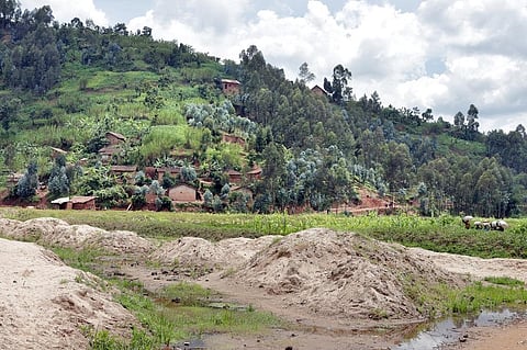Africa is particularly vulnerable to soil erosion and is the most severely affected continent. Photo: Getty Images