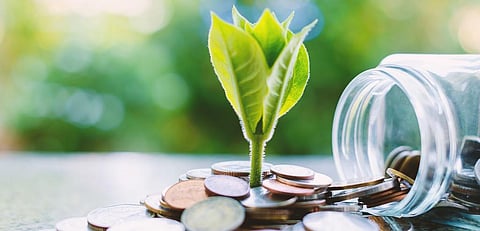 Delhi Declaration might downplay international finance institutions’ role in mitigating desertification