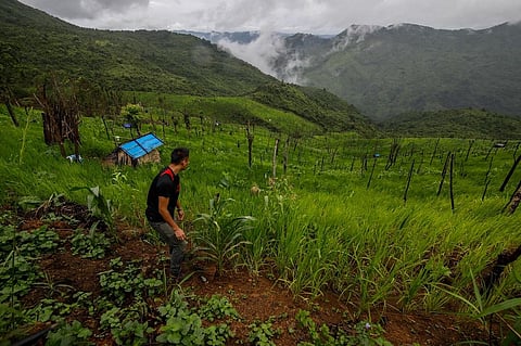 Shifting cultivation exposes state to soil erosion hazards. Photo: Getty Images