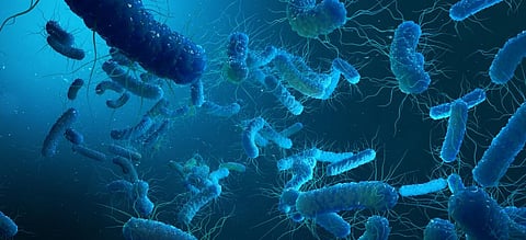 Scientists propose Controlled Human Infection Model studies