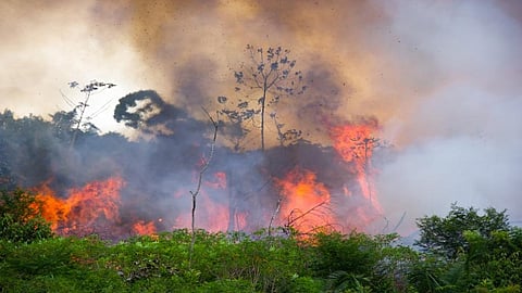 Amazon fires declined in September, but deforestation persists: Amazon Watch