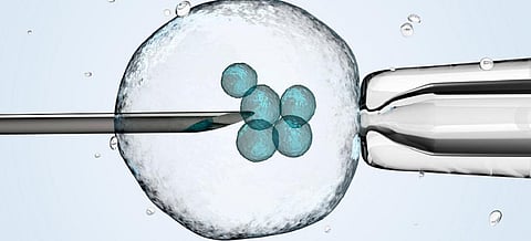 IVF and the businesses that spring up alongside it are part of a multi-billion dollar global market for fertility treatments. Photo: Shutterstock