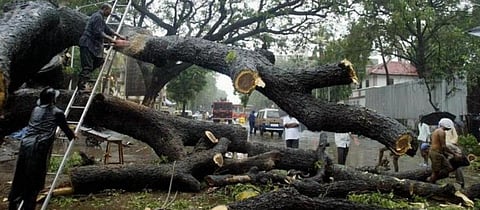 What Aarey case means for forest land classification