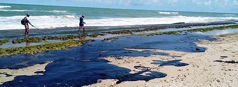 After Amazon fires, Brazil now faces oil spill crisis