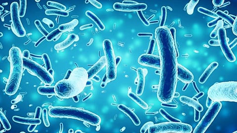 How drug resistance spreads in urban environment
